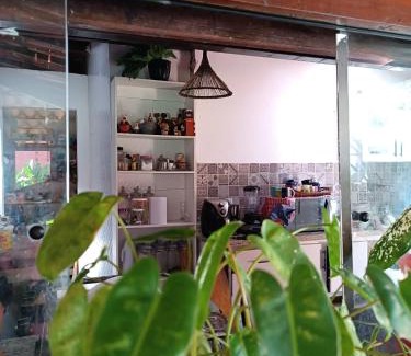 Piata House | SerLuz