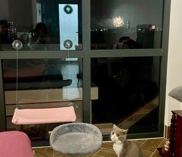 Ninh Kieu Apartment | Serviced Apartment With High View