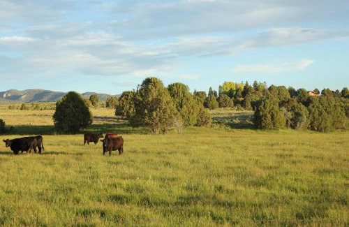 Hatch House | Sevier River Ranch & Cattle Company