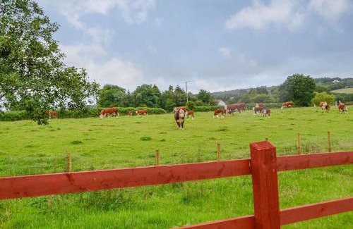 Ammanford House | Sgubor Llwyndu