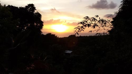 Belmont House | Shades Cottage Guesthouse