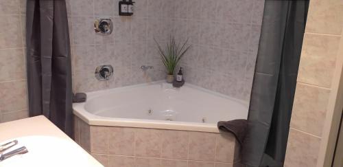 Palmerston North Hotel | Shadzz Motel