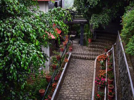 Devikolam House | Shamrock Holiday Home