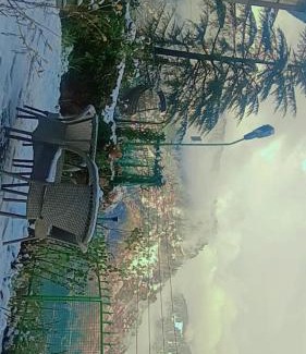Bastar Hotel | Shamshi Roll Guest House