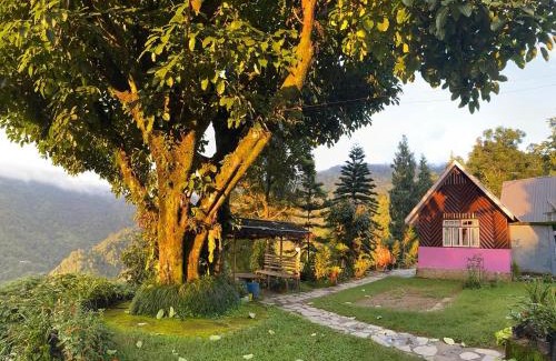 Kalimpong House | Shangdhan Pine Homestay