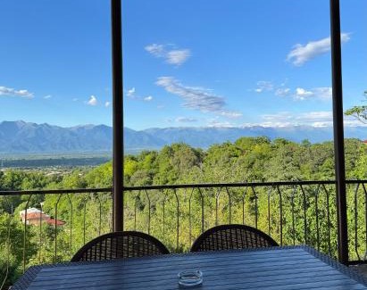 Gurjaani House | Shanshe