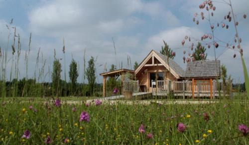 Berson Cabin | Shanti Lac Cabanes gîtes insolites et espace bien-être Bordeaux