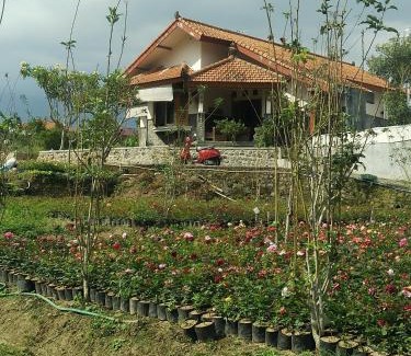 Sidomulyo House | Shanty's House