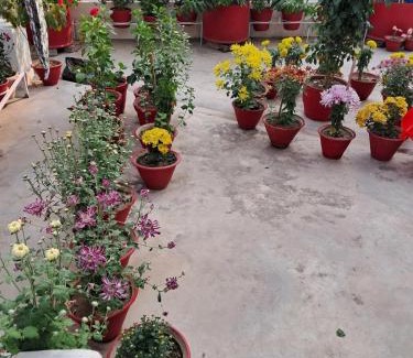 Lanka Apartment | Sharda Home Stay