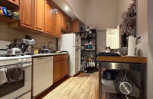 Bushwick Apartment | Shared Bushwick Duplex Stay – Private Rooms, Near L Train & Artsy Nightlife