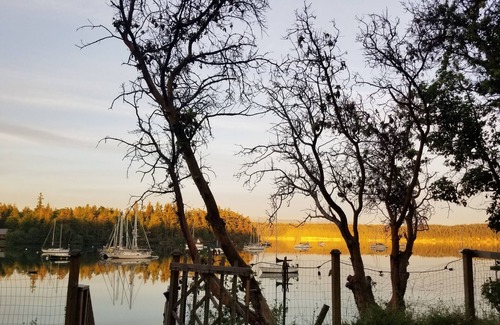Marrowstone House | Shared room, water view/access, Mini Fridge, Fire pit.