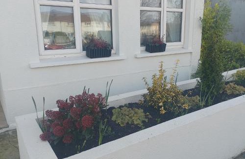 Waterford House | Shauna's Guest house
