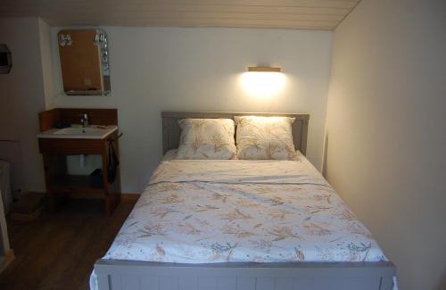 Aix-les-Bains Apartment | Shayton Natura
