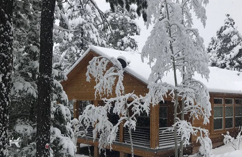 Angel Fire House | “She Told Me No” Cabin