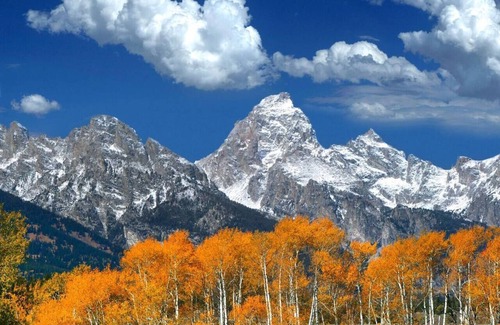 Tetonia House | Sheep Wagon One⁓Teton Views⁓Glamping⁓Working Ranch