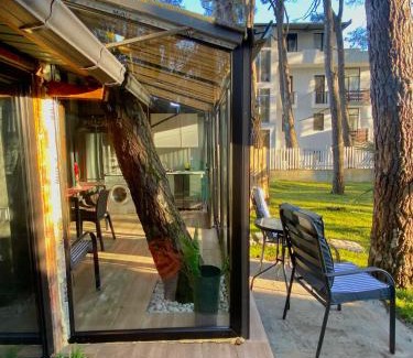 Shekhvetili House | Shekvetili Inn