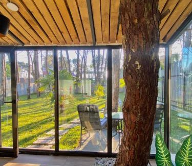 Shekhvetili House | Shekvetili Inn