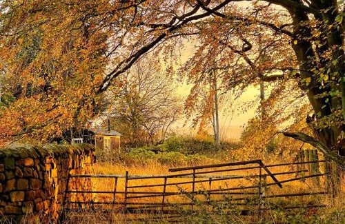 Crawcrook House | shepherd hut glamping in Northumberland