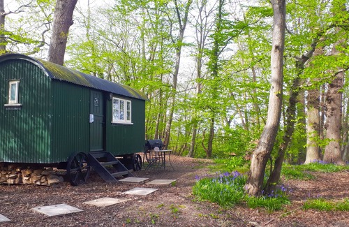 Robertsbridge House | Shepherd hut, wood stove, fire pit, BBQ in small woods. 1066 Country/High Weald.