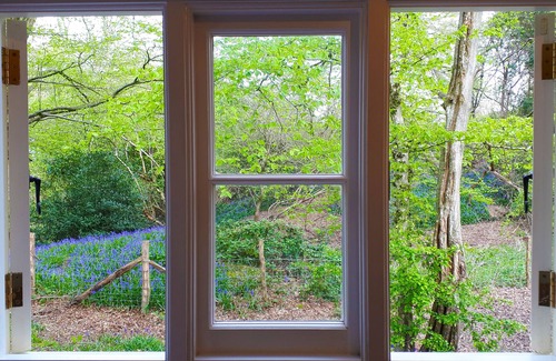 Robertsbridge House | Shepherd hut, wood stove, fire pit, BBQ in small woods. 1066 Country/High Weald.