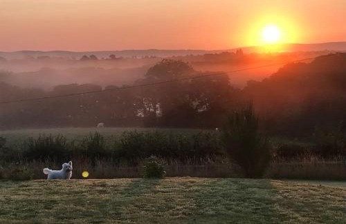 Newbridge House | Shepherds Hut-1 Bed-Hot Tub -views