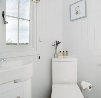 Mabe Apartment | Shepherds Hut at Chenhall Farm