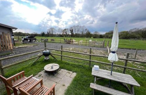 Westbourne House | Shepherds hut with Alpaca views