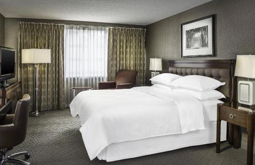 Business District Hotel | Sheraton Oklahoma City Downtown Hotel