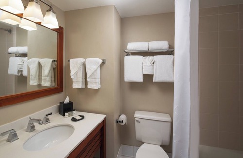 Survey Creek Hotel | Sheraton Suites Fort Lauderdale at Cypress Creek