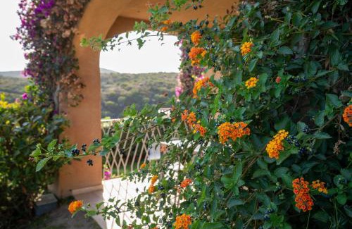 Golfo Aranci Apartment | Sherden suites - Your House in Sardinia