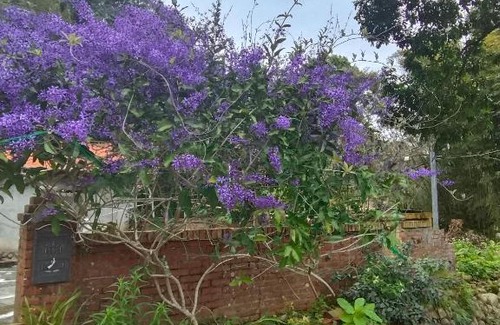 Longtan District House | Shi Qian Zai Homestay