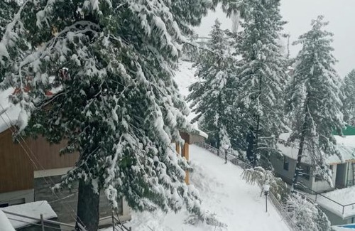 Nathia Gali Resort | Shimla Resort and rest house