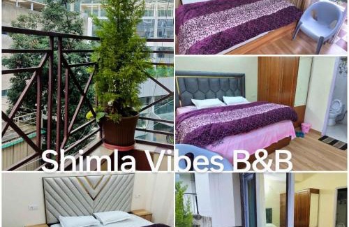 Shimla Apartment | Shimla Vibes B & B free pick and drop from ISBT Shimla