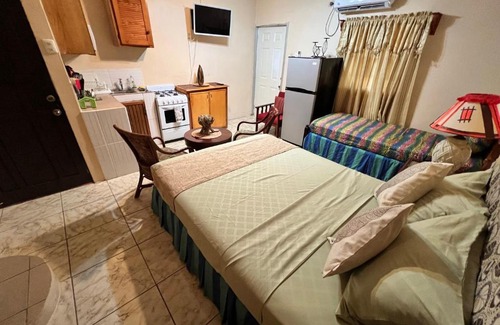 Mt. Pleasant Apartment | Shirvan Holiday Apartments Studio