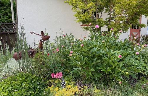 Corvallis Cottage | ShiShi's Cottage-Walk to OSU