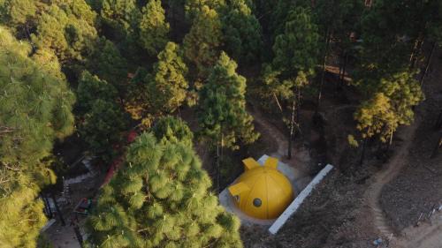 Sirala Resort | Shiv Forest Villas