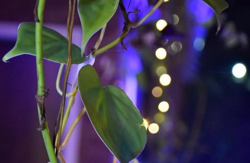 Alibaug House | Shivai Holiday Home