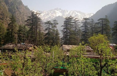 Kasol House | Shivay homestay kasol