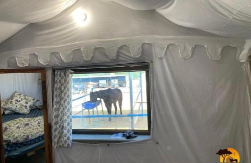 Samode Hotel | Shivohum Adventure Retreat