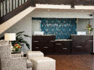 Motel District Hotel | Shore Cliff Hotel