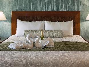 Motel District Hotel | Shore Cliff Hotel