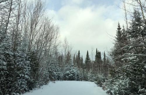 Unorganized Centre Parry Sound Cabin | Shores of Deer Lake