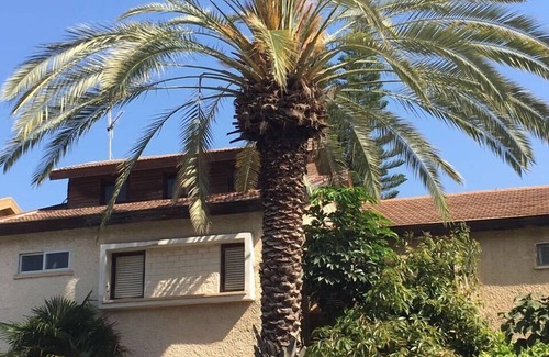 Herzliya House | Short/long term Cosy room @ IDC