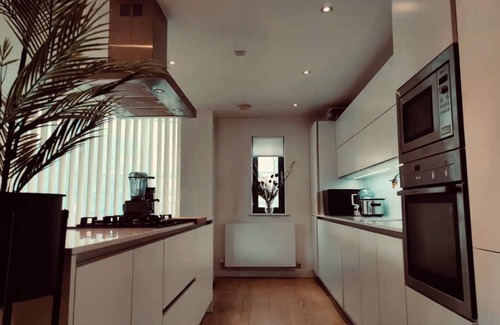 Hackney Apartment | Short/Long Term Lets. Beautiful, bright, architect designed oasis-London Fields