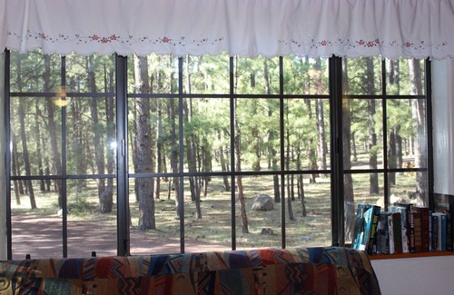 Greer Cabin | Shoshone Cabin-An Economical Choice for large groups!