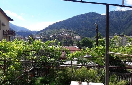Borjomi Apartment | Shota's Guest House