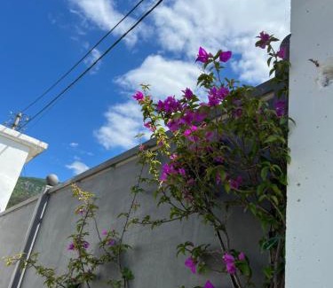 Sakës Apartment | Shpija Zani i Nans