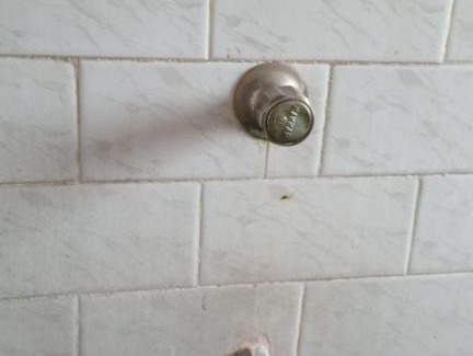 South Dum Dum Apartment | Shradhanjali Apartment