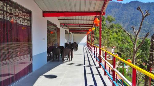 Dhunar Gaon Resort | Shree g cottages & homes