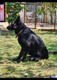 Dhule House | Shri Samarth homestay